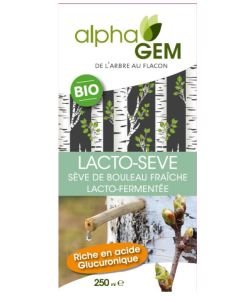 Lacto-seve - Seve de bouleau fraîche lacto-fermentée BIO, 250 ml